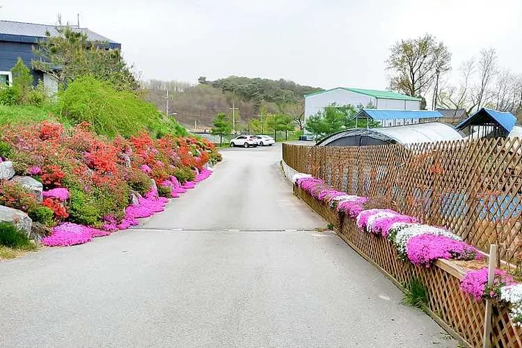 서안성수목장