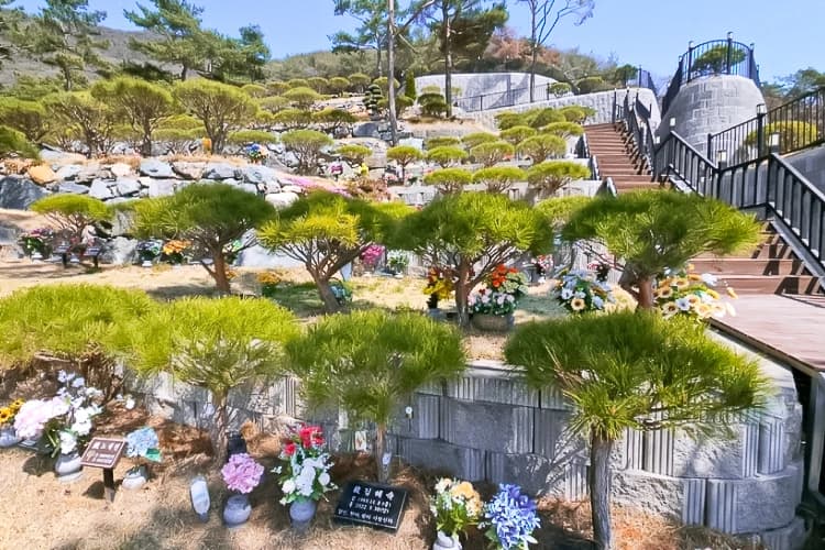 밀양수목장