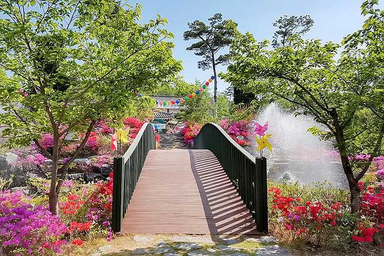 용인수목장